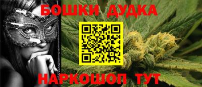 шишки Дубна
