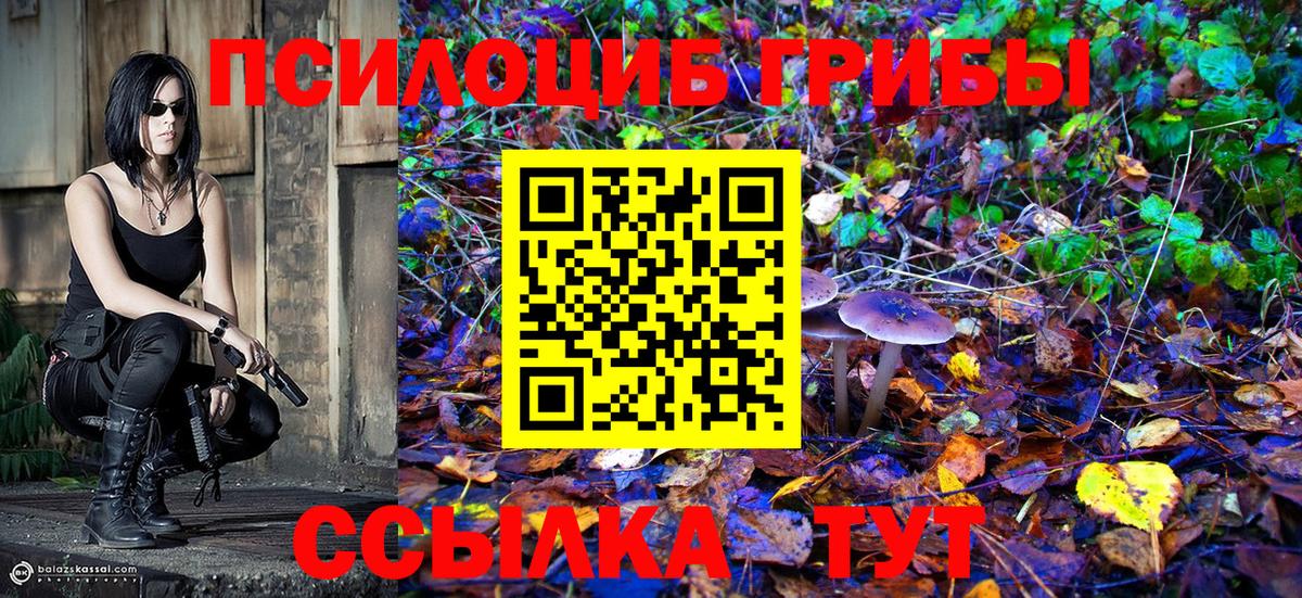 Псилоцибиновые грибы Psilocybine cubensis  Галлюциногенные грибы MAGIC MUSHROOMS  Лыткарино  Вход с VPN 