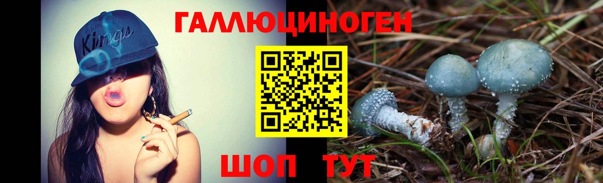 Галлюциногенные грибы MAGIC MUSHROOMS Лыткарино